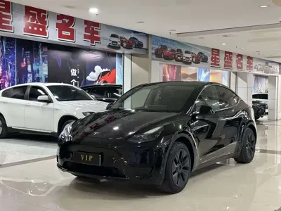 Tesla Model Y · 2024 год