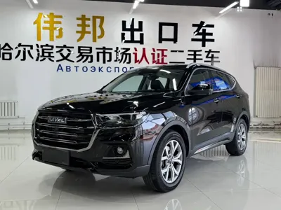 Haval H6 · 2022 год