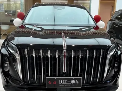 Hongqi Hongqi HS7 · 2024 год