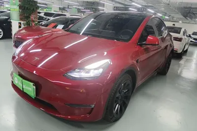 Tesla Model Y · 2022 год