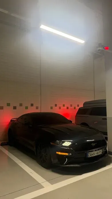 Ford Mustang 2019, 70800 км, за 23800000 KRW - фото 6
