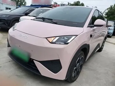 BYD Seagull · 2025 год