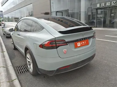 Tesla Model X 2020, 110000 км, за 318000 CNY