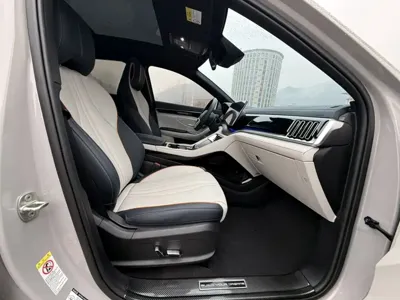 BYD PLUS New Energy 2024, 21400 км, за 92200 CNY - фото 18