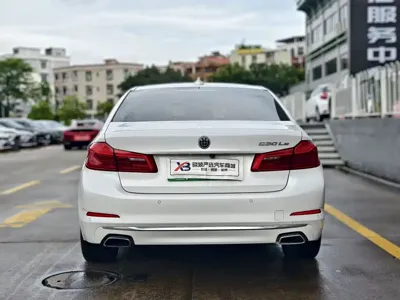BMW 5 Series New Energy 2019, 51000 км, за 122000 CNY