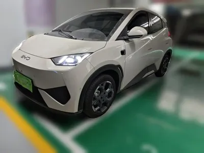 BYD Seagull · 2025 год