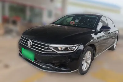 Volkswagen Magotan · 2020 год
