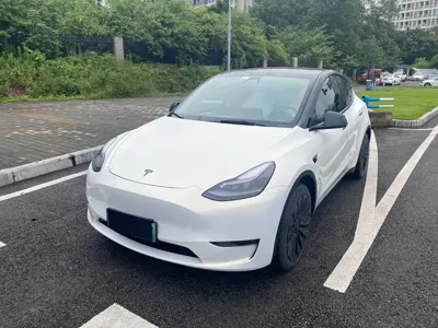 Tesla Model Y · 2021 год