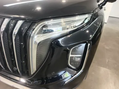 Hongqi HS7 PHEV 2024, 14300 км, за 154714.98 CNY - фото 9