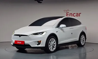 Tesla Model X · 2020 год