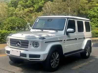 Mercedes-Benz G-Class · 2019 год