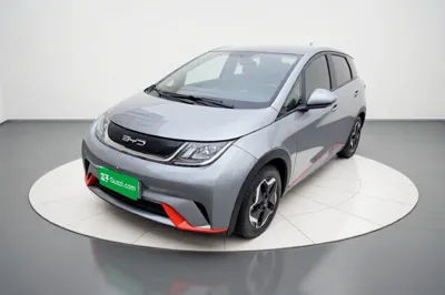 BYD Dolphin · 2021 год