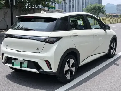 BYD Dolphin 2023, 68000 км, за 58800 CNY - фото 6