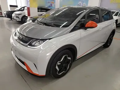 BYD Dolphin · 2023 год
