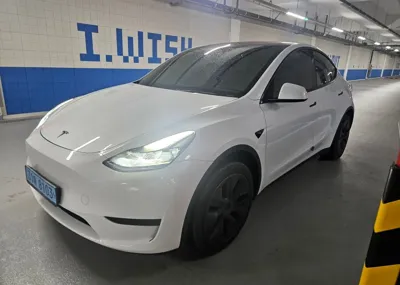 Tesla Model Y · 2024 год