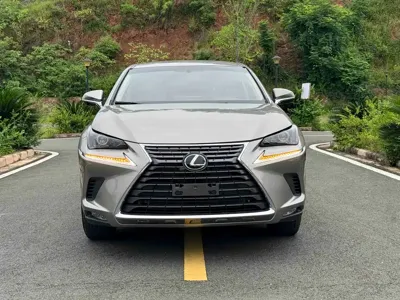 Lexus NX 2019, 80000 км, за 98000 CNY