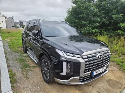 Hyundai Palisade · 2024 год
