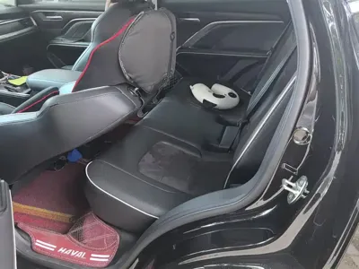 Haval H6 2021, 50599 км, за 51500 CNY - фото 11