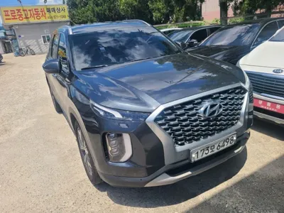Hyundai Palisade · 2020 год