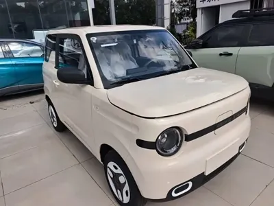 Galaxy Panda 2026, 100 км, за 37000 CNY - фото 4