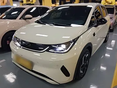 BYD Dolphin · 2025 год