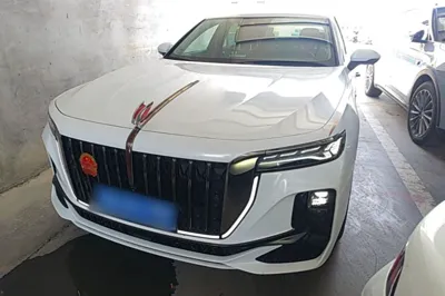 Hongqi H9 · 2024 год