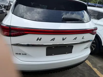 Haval H6 2021, 42000 км, за 44700 CNY - фото 14