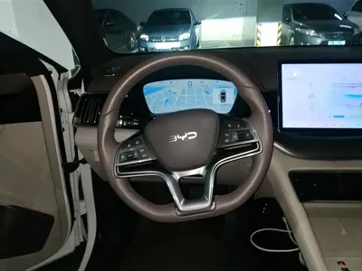 BYD PLUS New Energy 2024, 26700 км, за 98000 CNY - фото 14