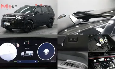 Hyundai Santafe · 2024 год
