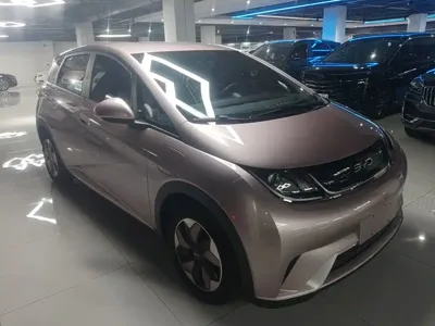BYD Dolphin 2024, 38700 км, за 61200 CNY