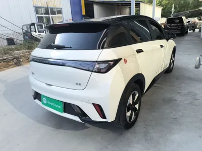BYD Dolphin 2025, 16400 км, за 78816.18 CNY - фото 6