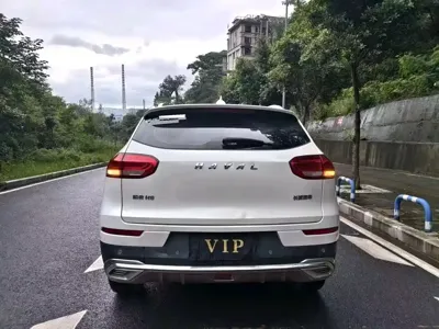 Haval H6 2021, 80000 км, за 46800 CNY - фото 8