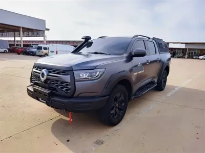 Great Wall Pao · 2022 год