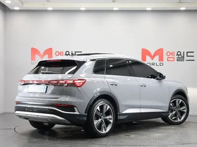 Audi Q4 e-tron 2023, 46600 км, за 39900000 KRW