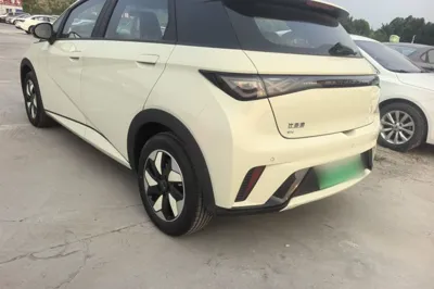 BYD Dolphin 2025, 100 км, за 89502.06 CNY