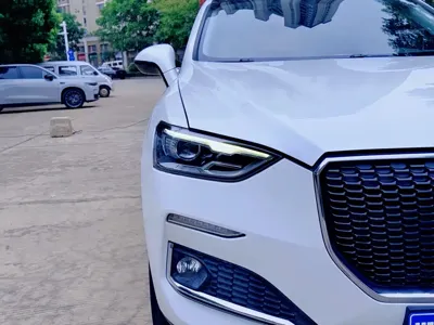 Haval F5 2020, 50000 км, за 32800 CNY - фото 24