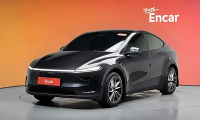 Tesla Model Y · 2025 год