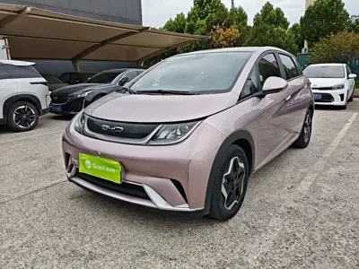 BYD Dolphin · 2022 год