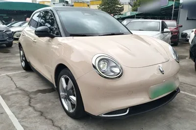ORA Good Cat 2021, 64500 км, за 64679.6 CNY