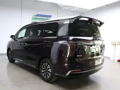 Hongqi Hongqi HQ9 PHEV 2024, 26500 км, за 188500 CNY - фото 6