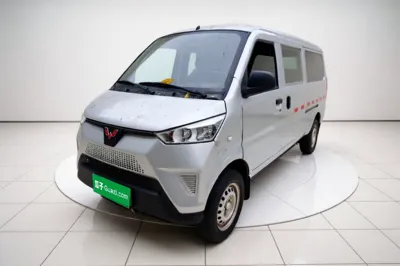 Wuling EV50 · 2022 год