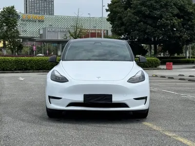 Tesla Model Y 2021, 36000 км, за 147000 CNY