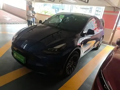 Tesla Model Y · 2021 год