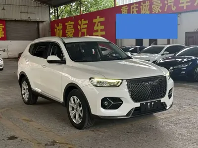 Haval H6 2020, 32000 км, за 39800 CNY