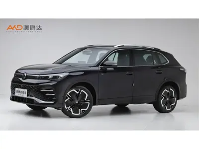 Volkswagen Tiguan L · 2024 год