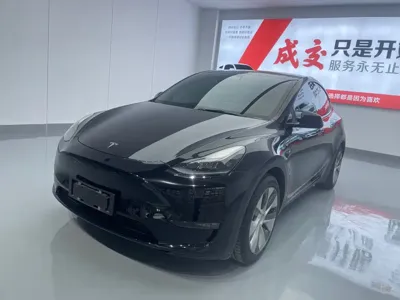 Tesla Model Y · 2022 год