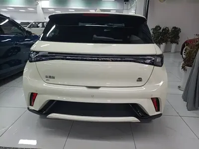 BYD Dolphin 2023, 78000 км, за 60500 CNY - фото 6