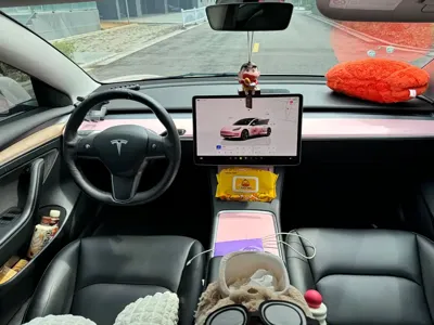 Tesla Model 3 2022, 43000 км, за 106199 CNY - фото 8