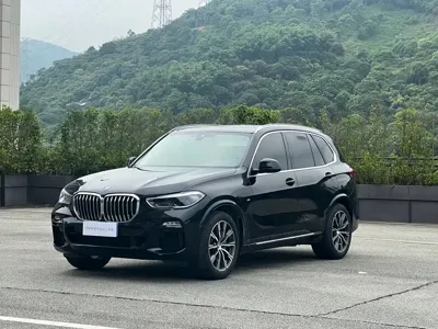 BMW X5 (Import) · 2019 год