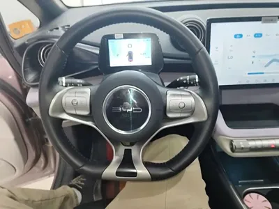 BYD Dolphin 2022, 50400 км, за 58700 CNY - фото 11